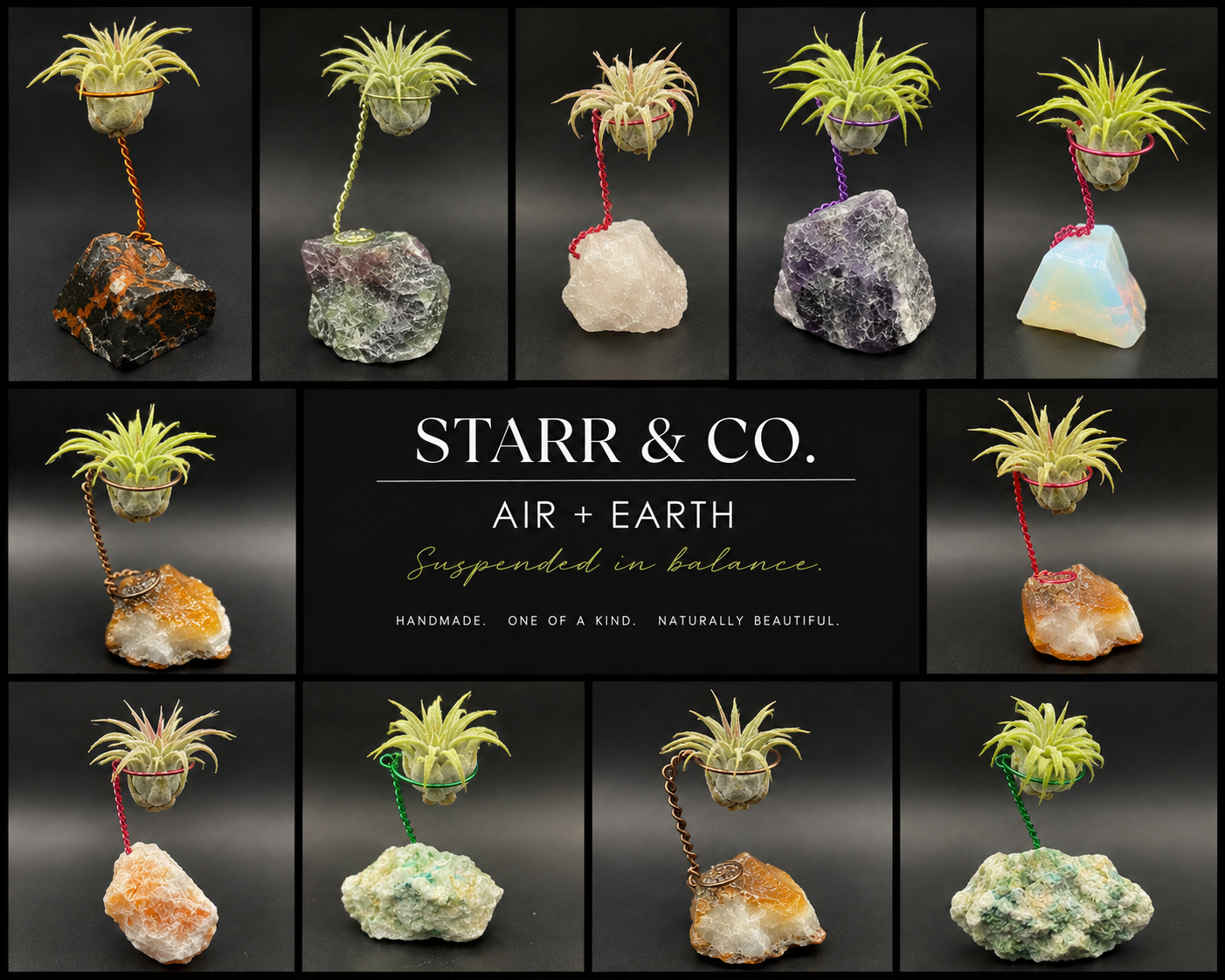 Living Stone air plant arrangements with colorful wire and stone bases